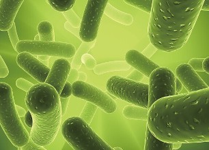第一次發(fā)現(xiàn)腸道微生物影響神經(jīng)退行性疾病