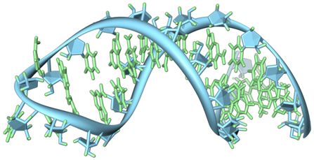 利用CRISPRi鑒定出細(xì)胞生長所需的499個lcnRNA