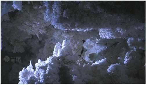新發(fā)現(xiàn)：4萬歲的超級細菌