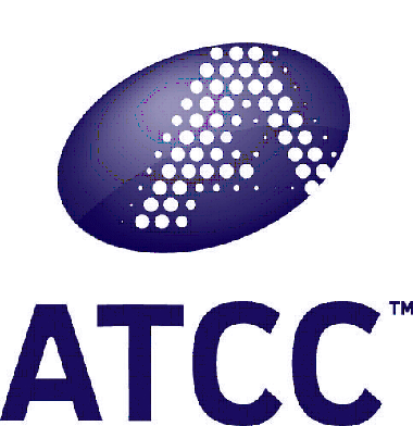 ATCC2601 啤酒酵母菌