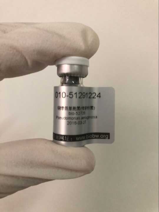 ATCC微生物菌種保藏中心金牌代理商北京百歐博偉生物技術(shù)有限公司 