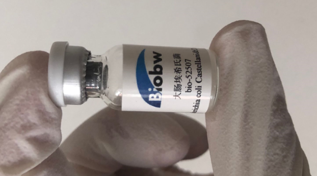 檢測大腸桿菌的新方法請您查看-ATCC菌種