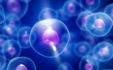 中國微生物菌種查詢網(wǎng)ATCC細(xì)胞的結(jié)構(gòu)分析！