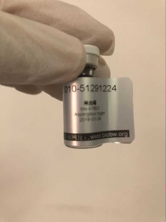ACCC40100珊瑚色諾卡氏菌（Nocardia coralline）-ATCC菌種
