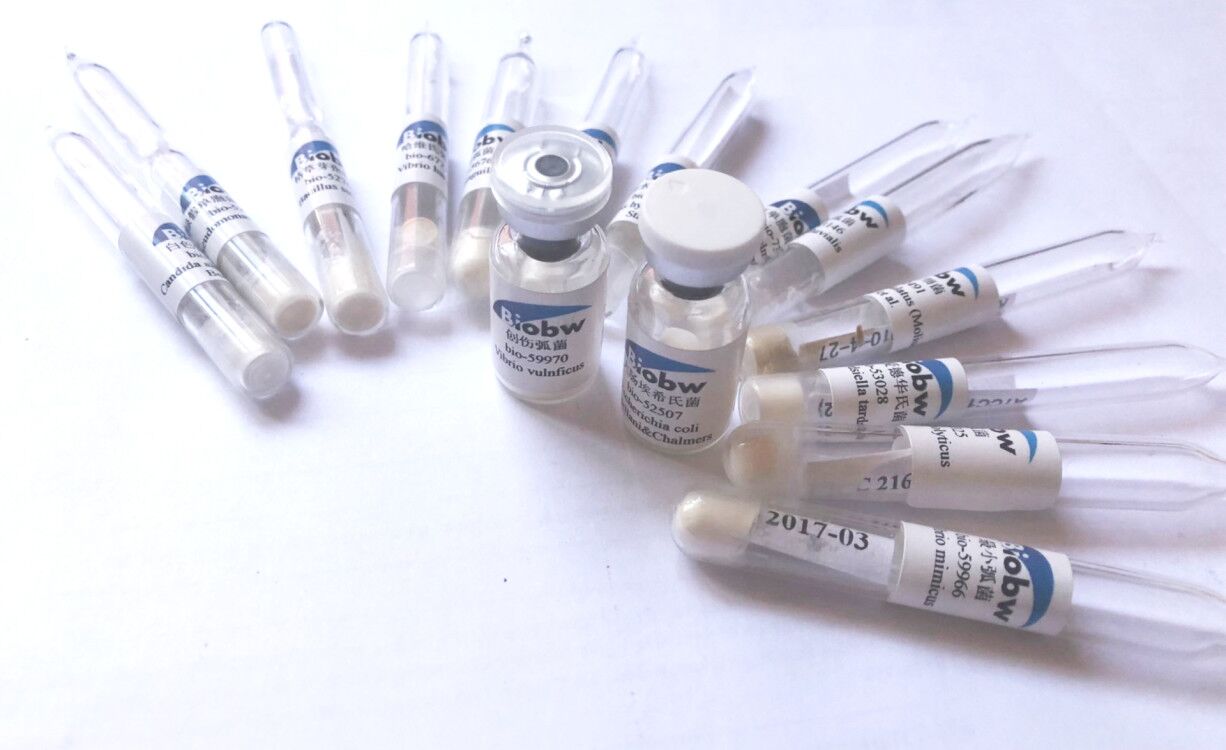 中檢所關(guān)于毒菌種最新批號(hào)-百歐博偉生物