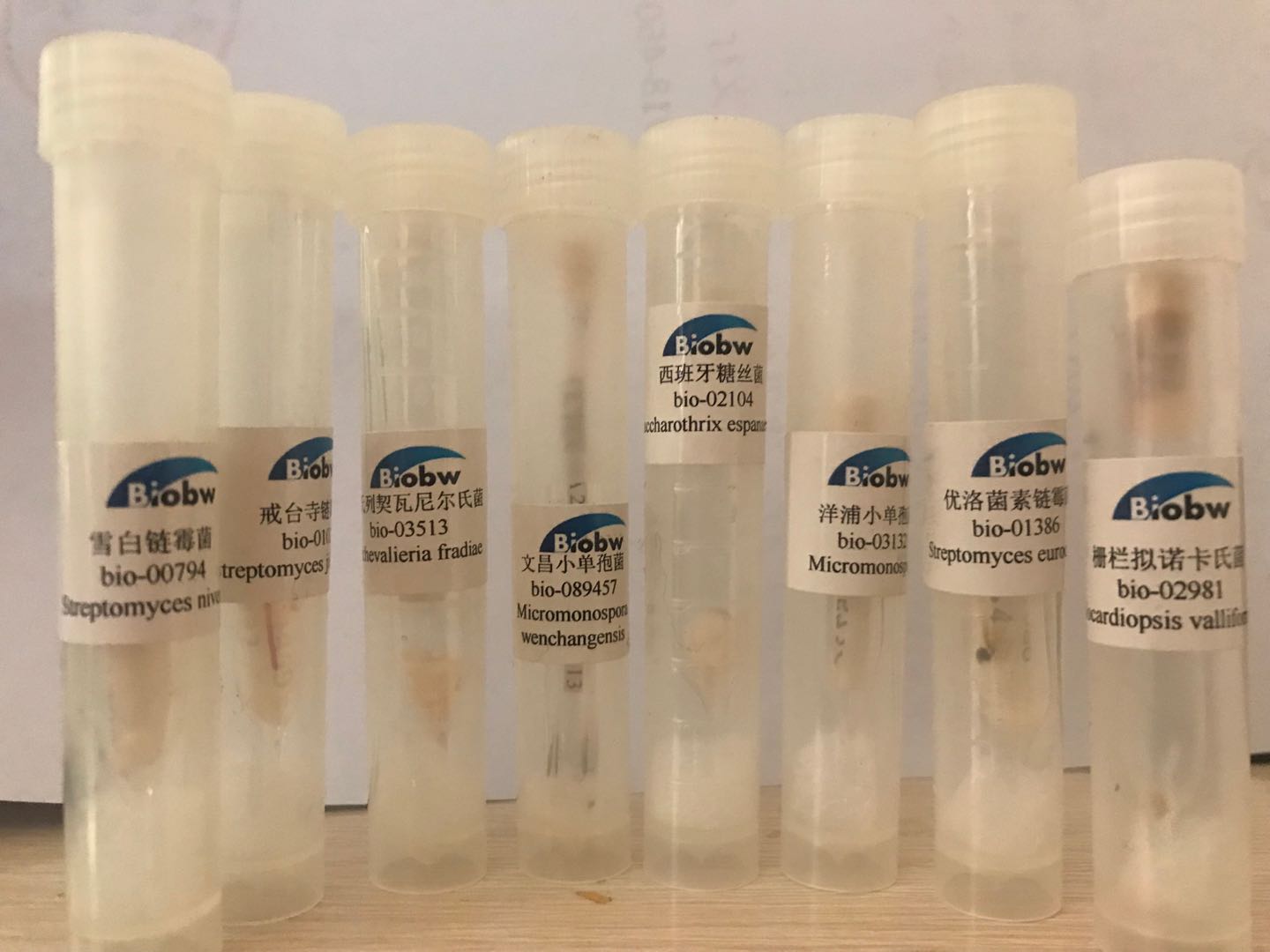 一篇文章告訴您正向轉染和反向轉染的區(qū)別是什么？