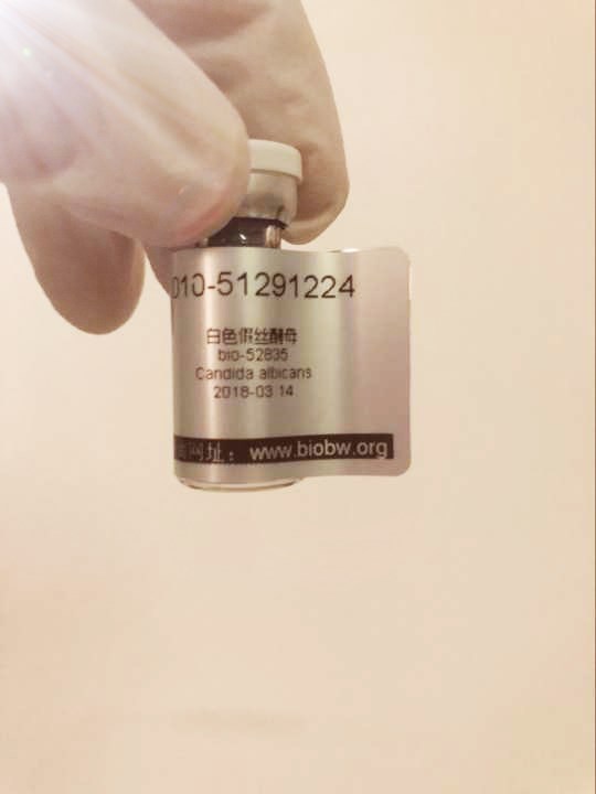 生物指示劑芽孢濃度測(cè)定試驗(yàn)詳情！