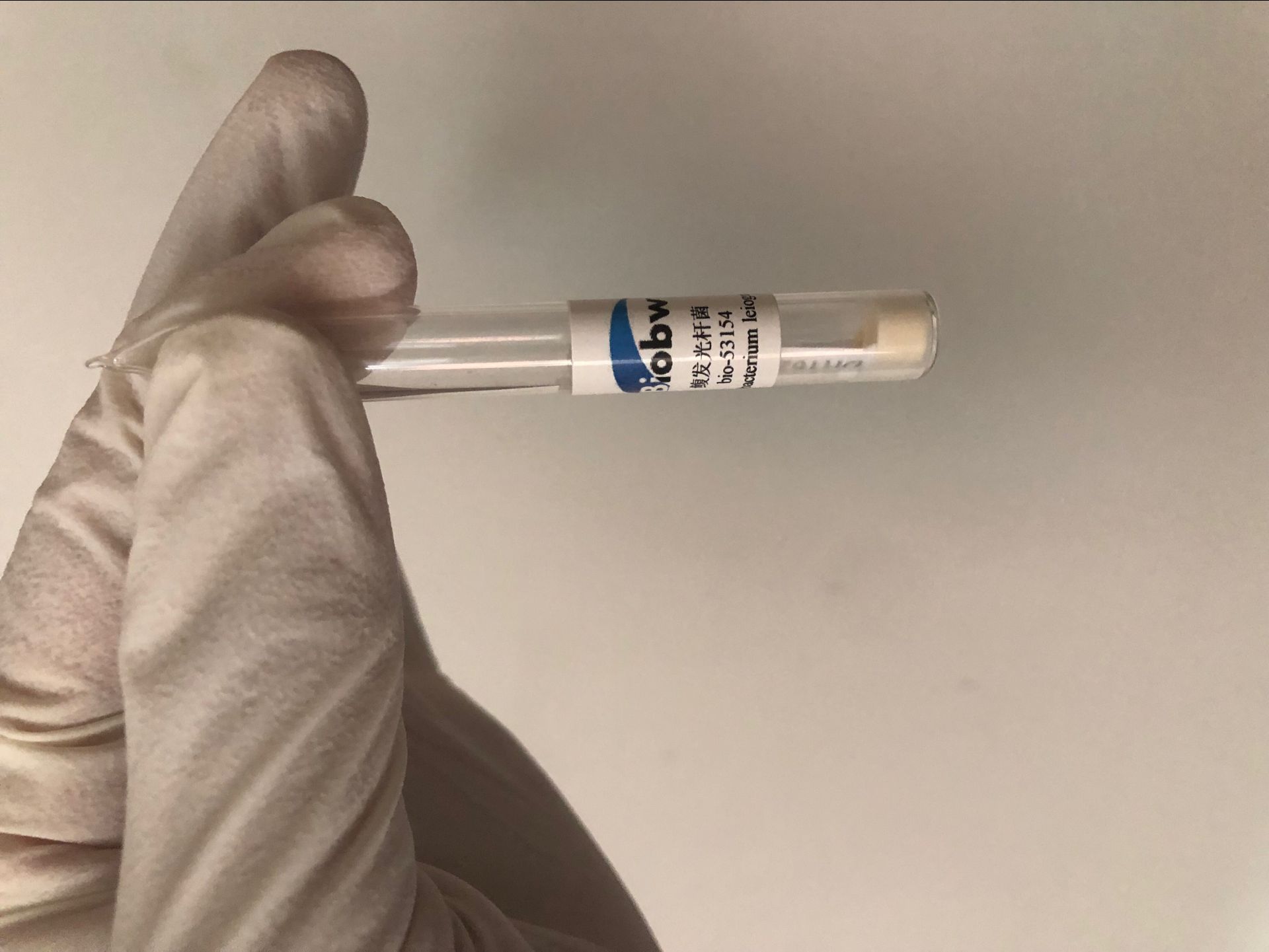 怎樣打一場漂亮的細胞保衛(wèi)戰(zhàn)？-百歐博偉生物