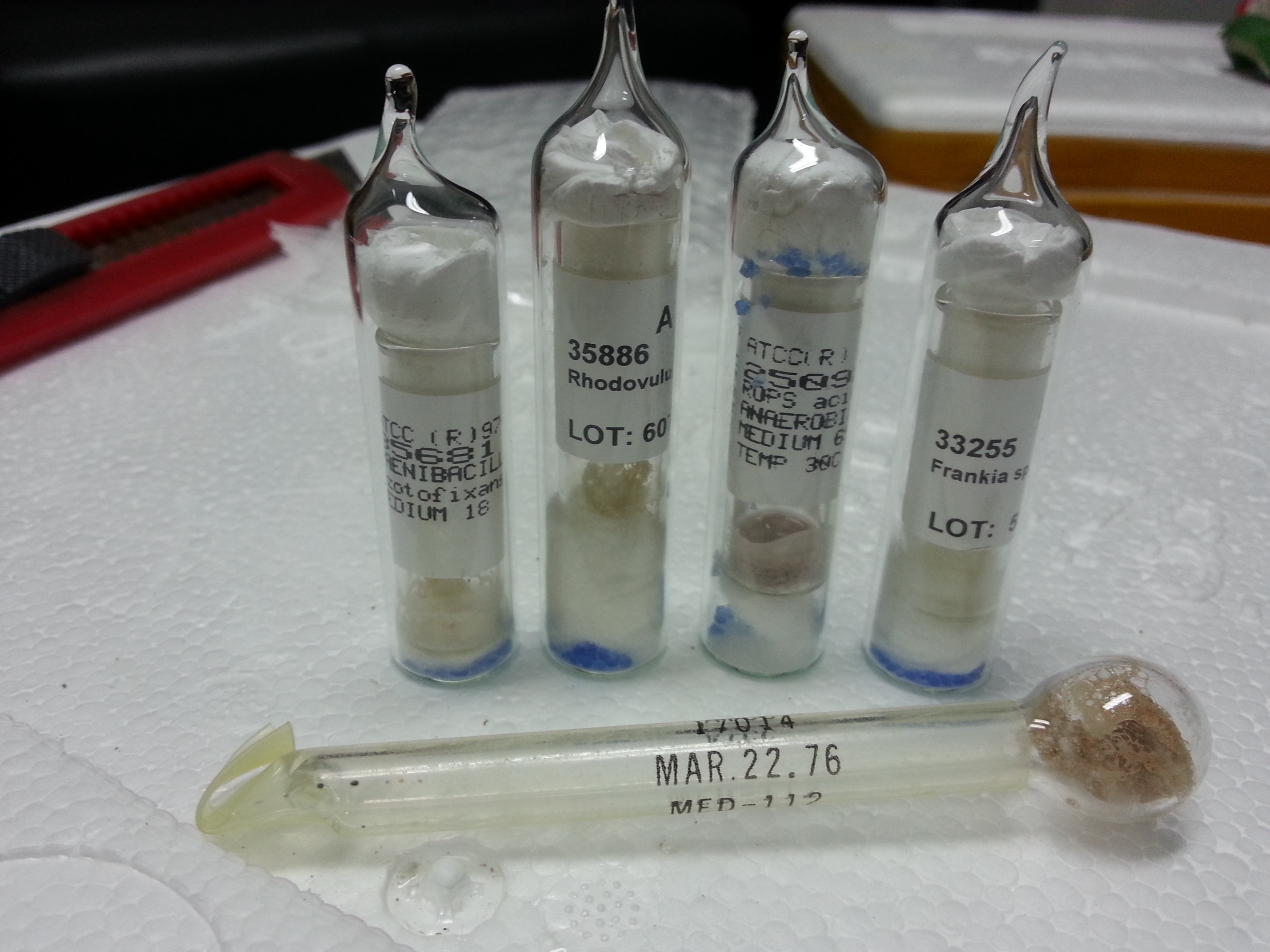 免疫瓊脂雙向擴散實驗原理、方法、結果觀察與注意事項