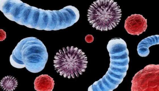 ATCC 27958 乳房链球菌的形态特征与主要价值！