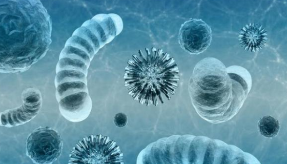 阴沟肠杆菌的发病机制与预防治疗及研究进展！