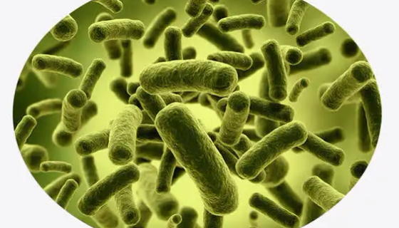 大肠埃希氏菌的种类与特征及检测方法！