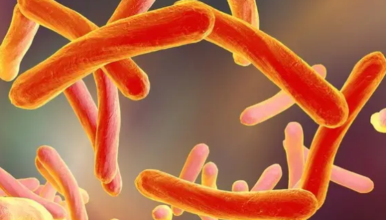 结核分枝杆菌的生物学特性与实验室检查！
