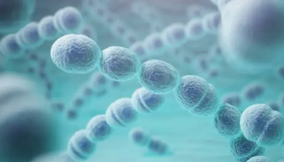 肺炎链球菌的性质、用途与生产工艺！