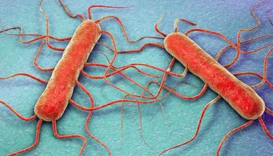 食品安全标准中单核细胞增生李斯特氏菌知识解读！