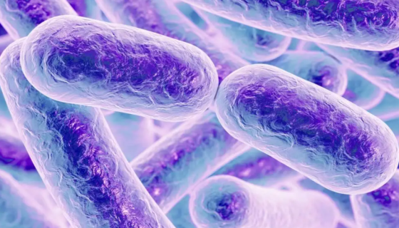 艰难梭菌的知识简介及其几种检测方法！ 