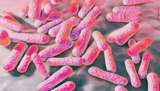 产丙酸丙酸杆菌的培养与保藏方法及注意事项！