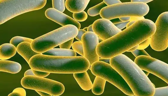 大肠杆菌的种类区别与特征特性及检测方法！