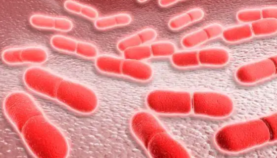 单核增生李斯特菌的致病性与传播途径及预防与治疗！