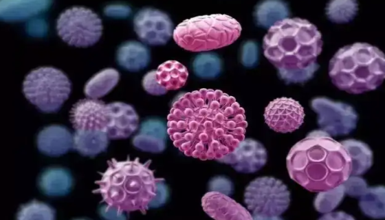 口腔链球菌的形态特征与主要价值及注意事项！