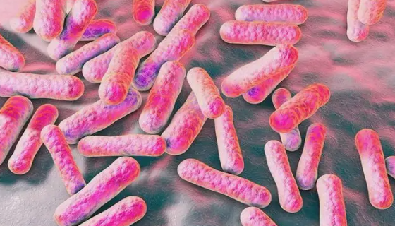 痤疮丙酸杆菌的生物学特性与实验诊断及临床意义！