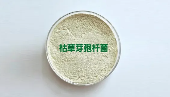 生物肥料枯草芽孢杆菌的优点与主要作用及功效！