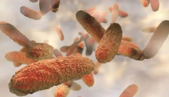 肺炎克雷伯氏菌毒力因子的研究进展！