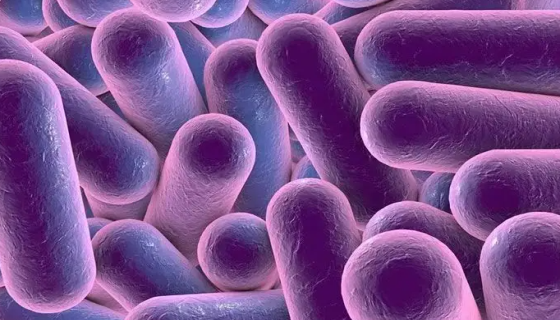 紫色色杆菌的形态特性与临床表现及治疗方法！