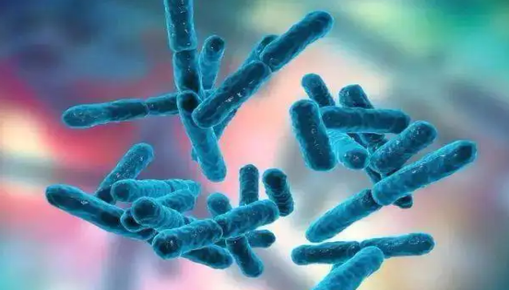 海洋分枝杆菌的菌落特征与临床表现及诊断治疗！