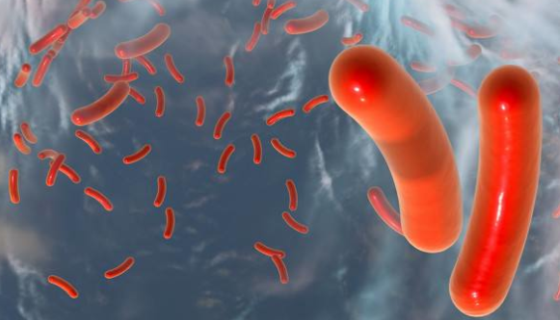 抗酚小短杆菌的培养方法与使用范围及实验内容！