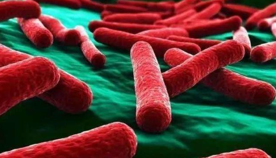 具核梭杆菌——大肠癌犯罪嫌疑菌！