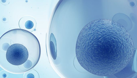 人脂肪间充质干细胞的分离方法与质量检测！