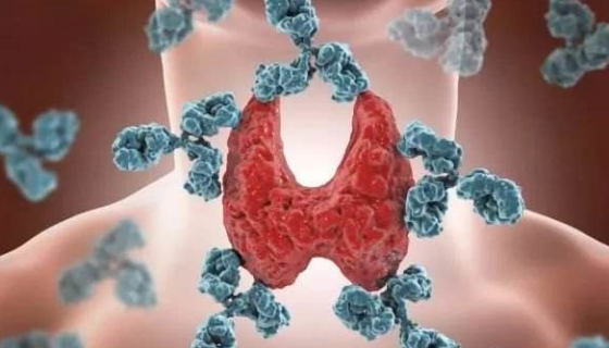 人甲状腺癌细胞ACT-1的培养步骤与注意事项！