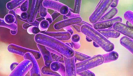 痢疾志贺氏菌的毒力因子与致病机理！