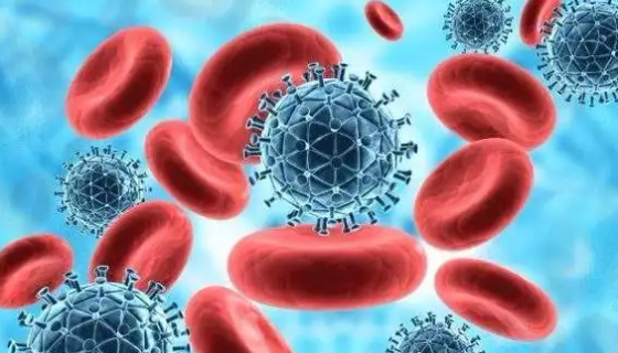 P388小鼠白血病细胞的处理方法与培养步骤！