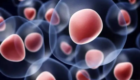 hUC-MSC人脐带间充质干细胞的操作流程与注意事项！