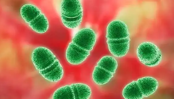 谷氨酸棒杆菌的使用范围及培养与保存方法！