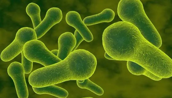 生孢梭菌的性质与用途及生产工艺！