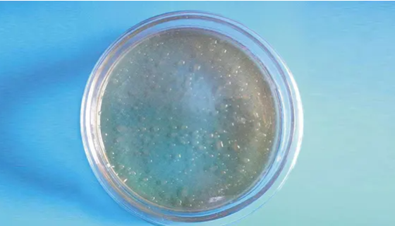 胶冻样类芽孢杆菌——利用纤维素能力强