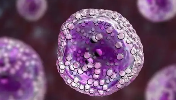 REC-1人套细胞淋巴瘤细胞的培养实验操作规程！