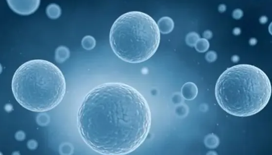 人脂肪干细胞的处理方法与培养步骤及注意事项！