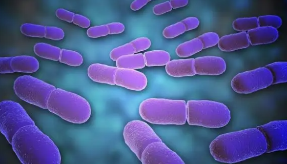 变形杆菌的迁徙生长及菌株特点与防治方法！