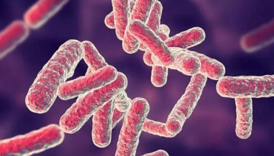 志贺氏菌属的致病物质与诊断方法及预防措施！