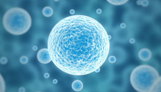 UE7T-13人骨髓间充质干细胞复苏与传代及冻存操作说明！