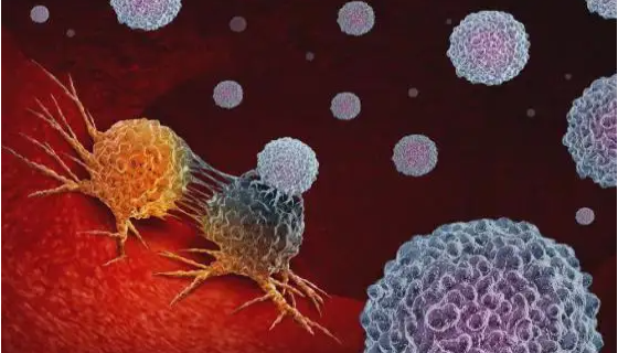 人口腔黏膜癌前病变细胞的培养步骤与操作流程！