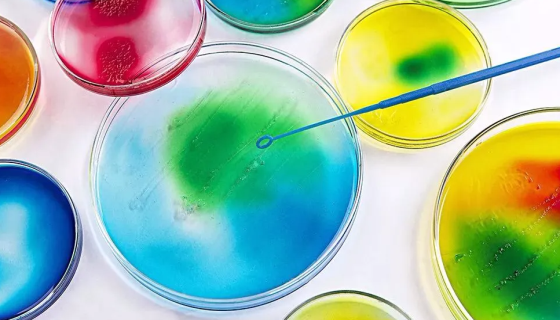 几种常用的微生物染色方法及操作步骤！