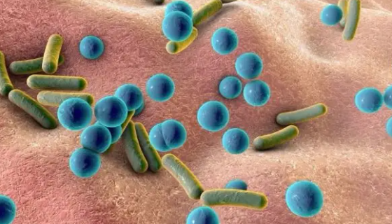 副溶血性弧菌的发病机理与临床表现及预防与治疗！