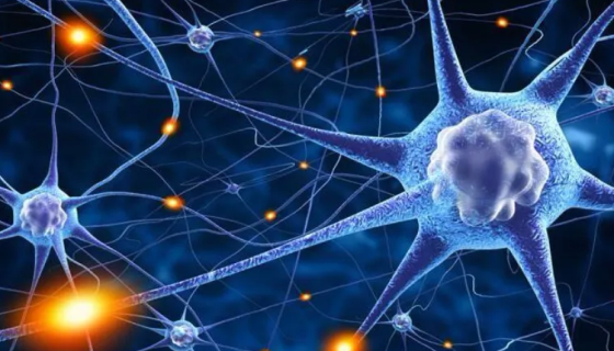 人类星型胶质细胞瘤接收后的处理方法与培养步骤！