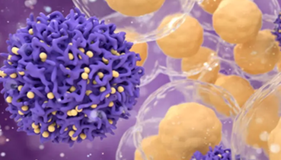 小鼠CD8+T细胞的常见问题及收货注意事项有哪些？