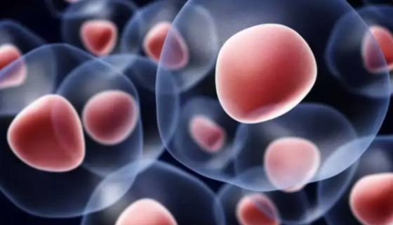 人脐带间充质干细胞永生化的使用方法与注意事项！